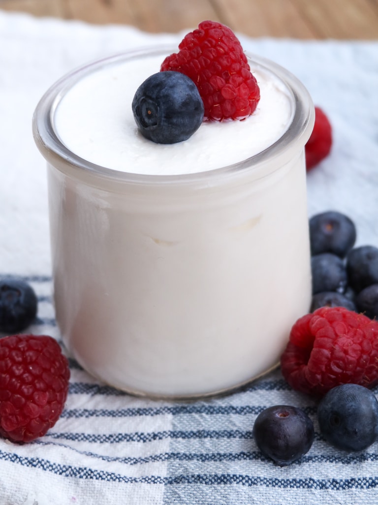 instant pot yogurt recipe