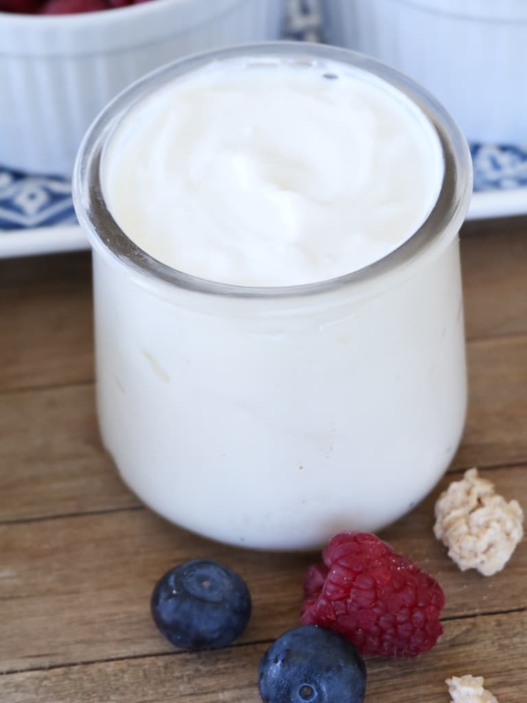 instant pot yogurt recipe