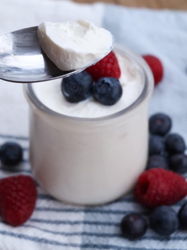 instant pot yogurt recipe